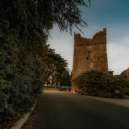 Killiane Castle Country House & Farm Drinagh Exteriör bild