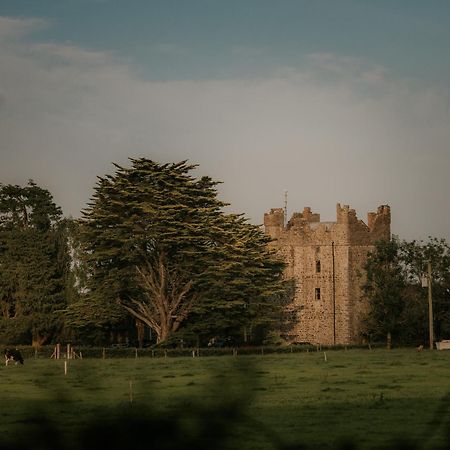 Killiane Castle Country House & Farm Drinagh Exteriör bild