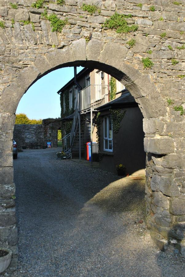Killiane Castle Country House & Farm Drinagh Exteriör bild