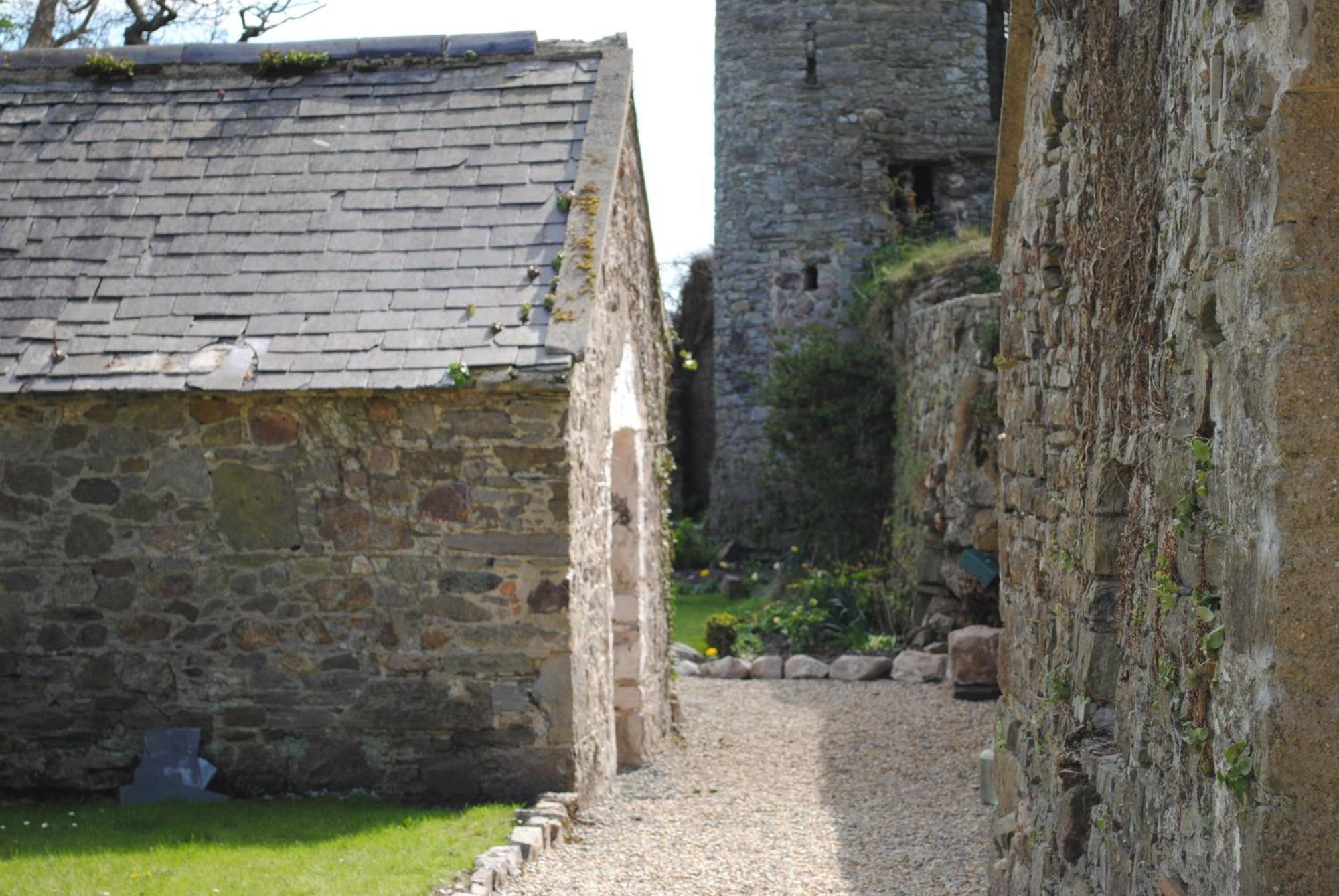 Killiane Castle Country House & Farm Drinagh Exteriör bild