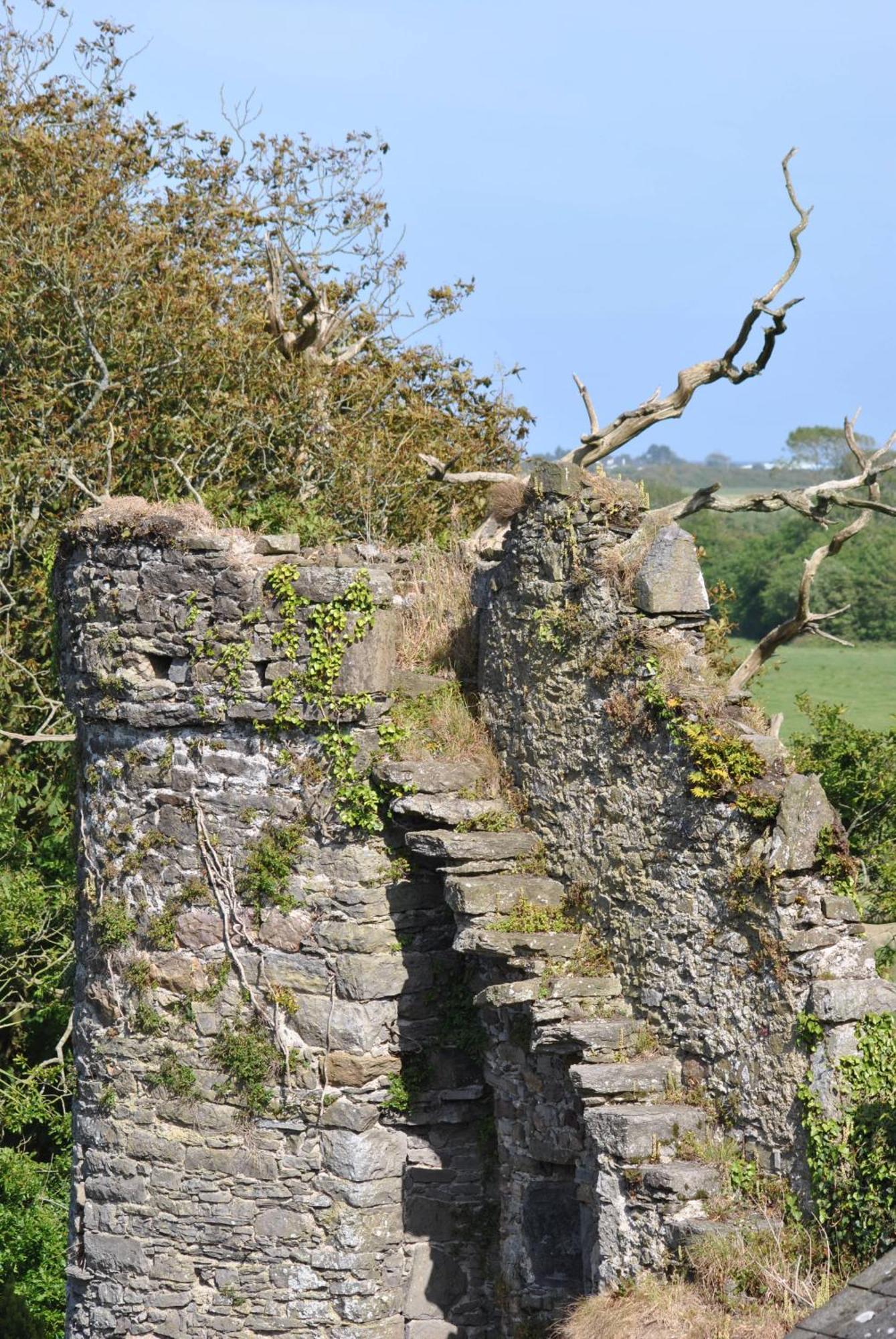 Killiane Castle Country House & Farm Drinagh Exteriör bild