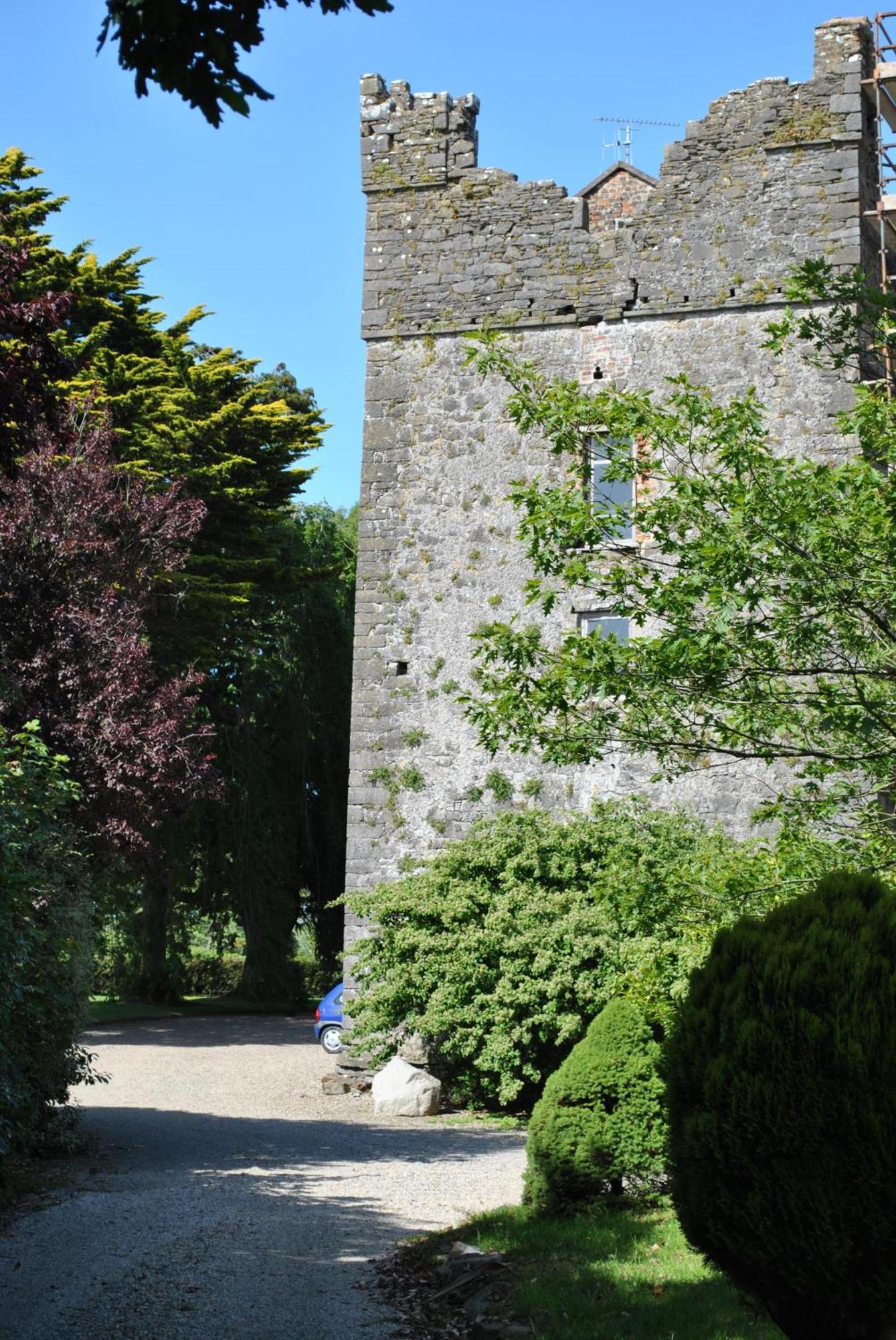 Killiane Castle Country House & Farm Drinagh Exteriör bild