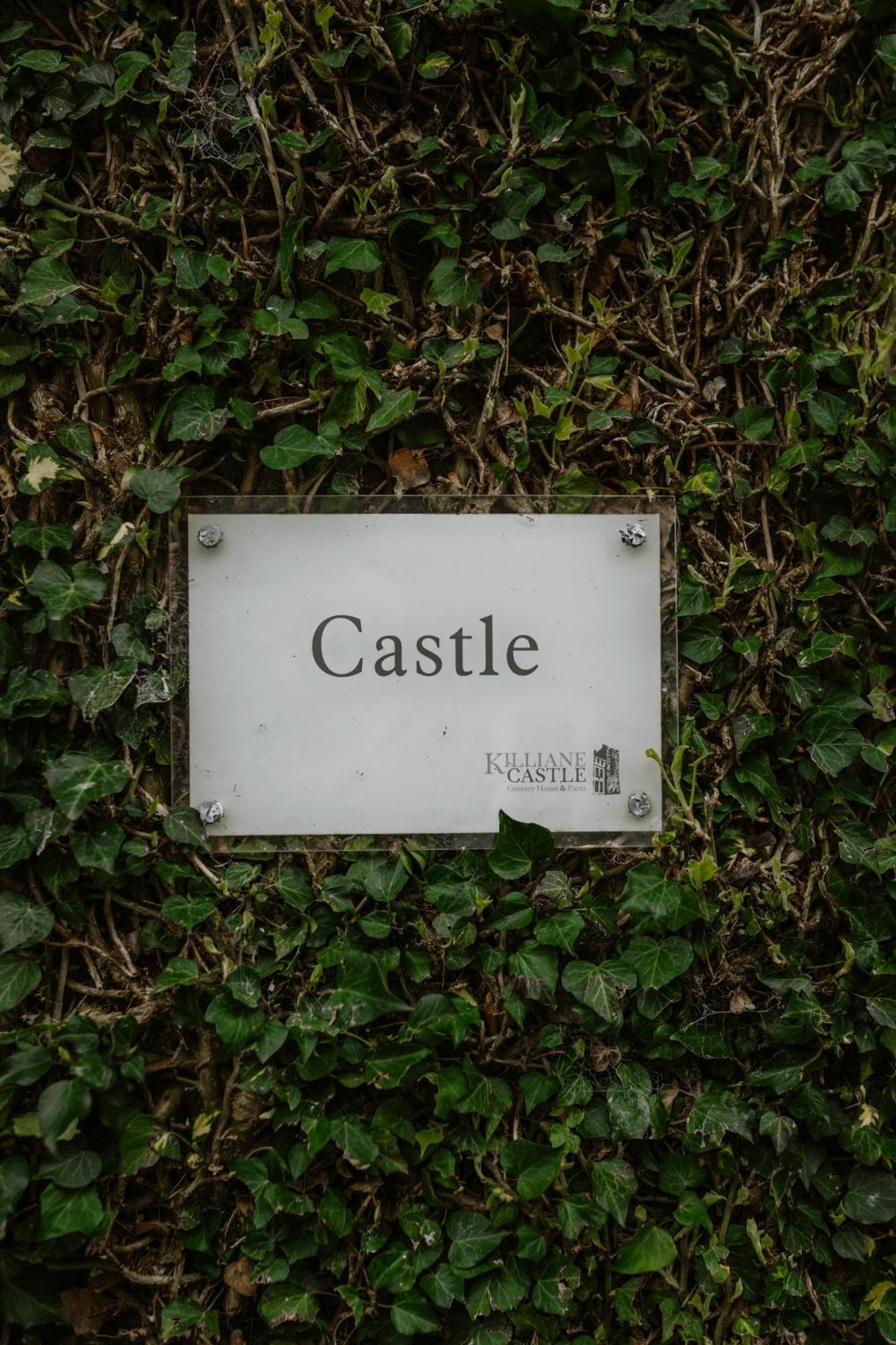 Killiane Castle Country House & Farm Drinagh Exteriör bild