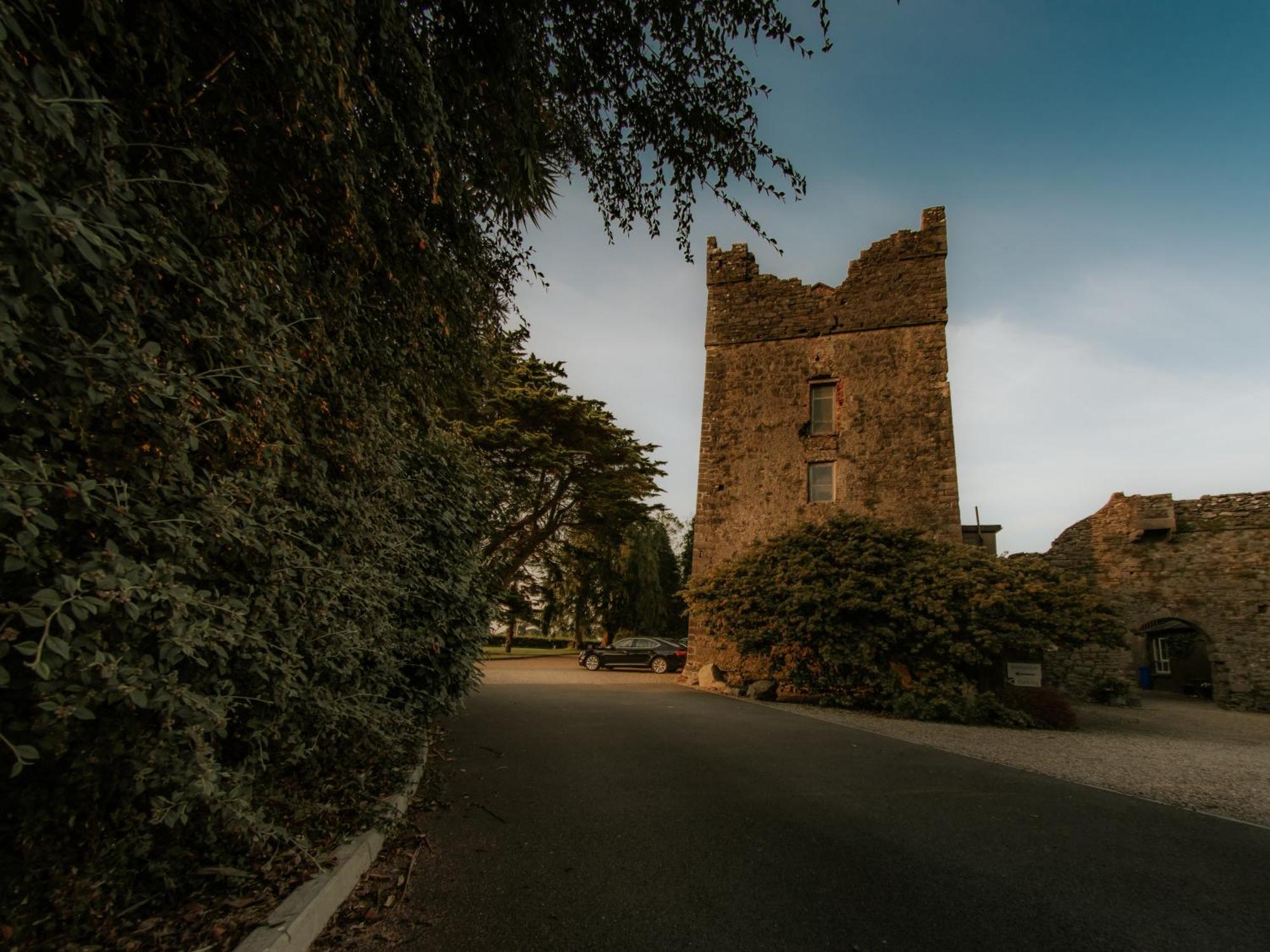 Killiane Castle Country House & Farm Drinagh Exteriör bild